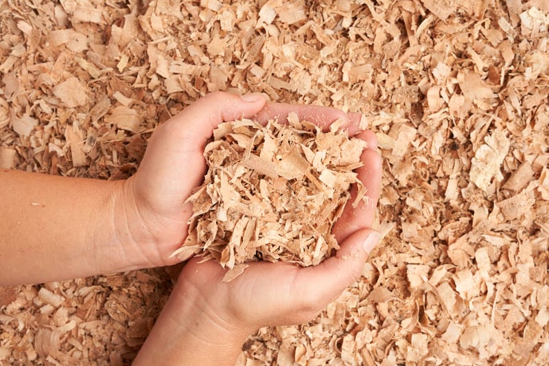 #03 PLAIN SHAVINGS