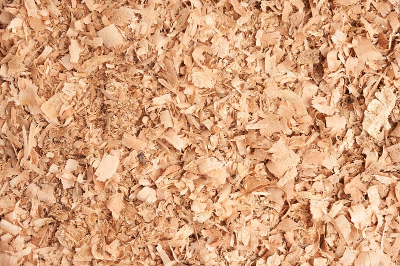 #03 PLAIN SHAVINGS